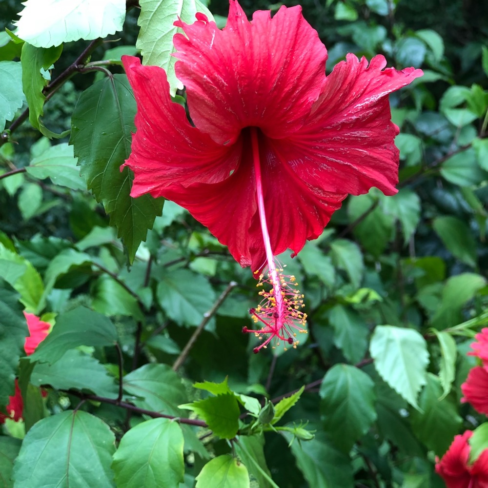 Meet your Posher, Tina